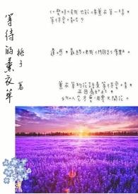 等待的薰衣草 等待的薰衣草